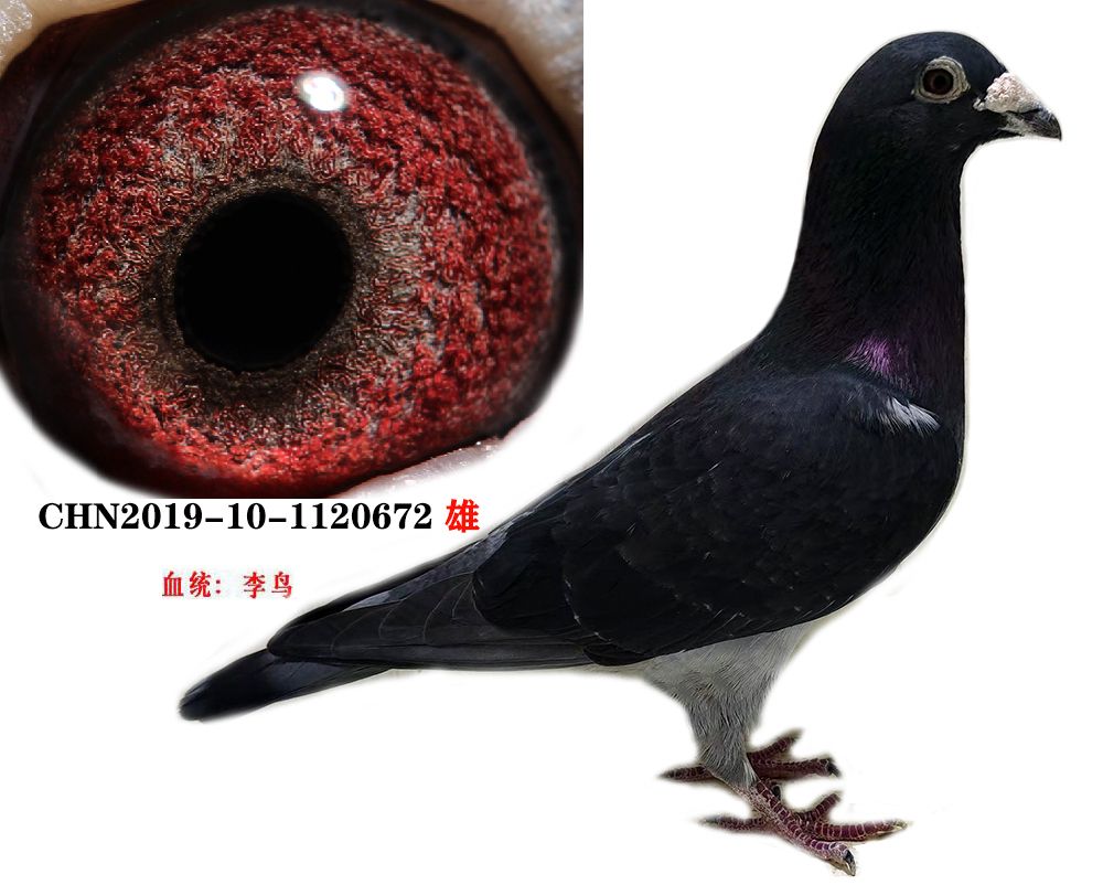 B07