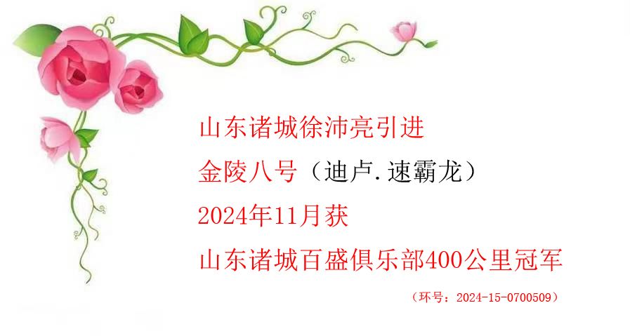 ɽ2024ھ