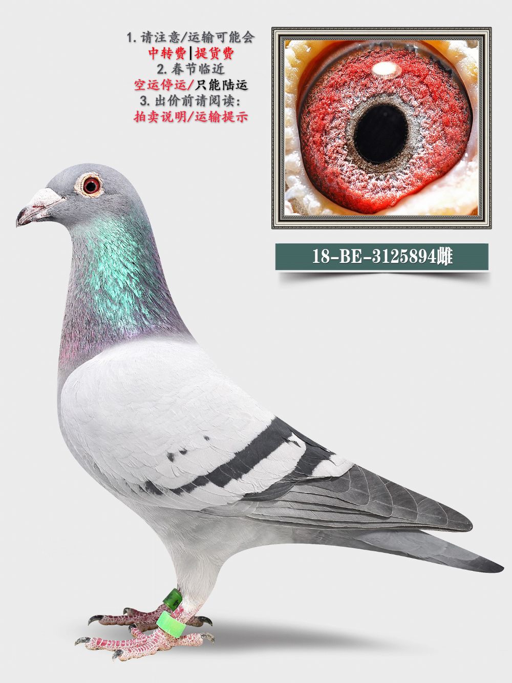 22.mŬԭ?sh)όO.3125894