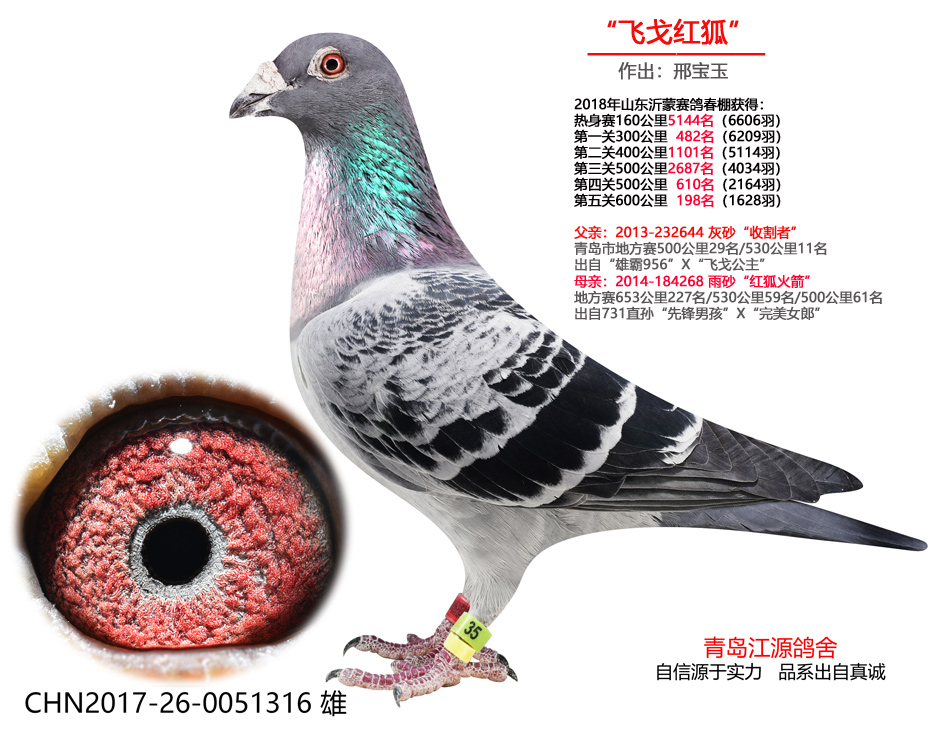wt-ոֱ