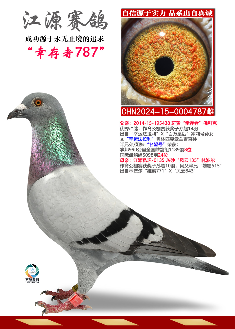 Ҵ787