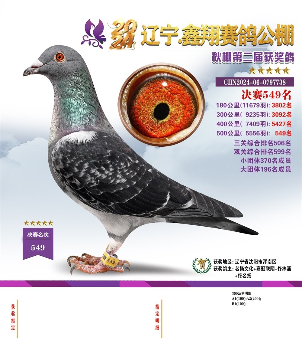 2024ﳯ(yng)蹫Qِ549