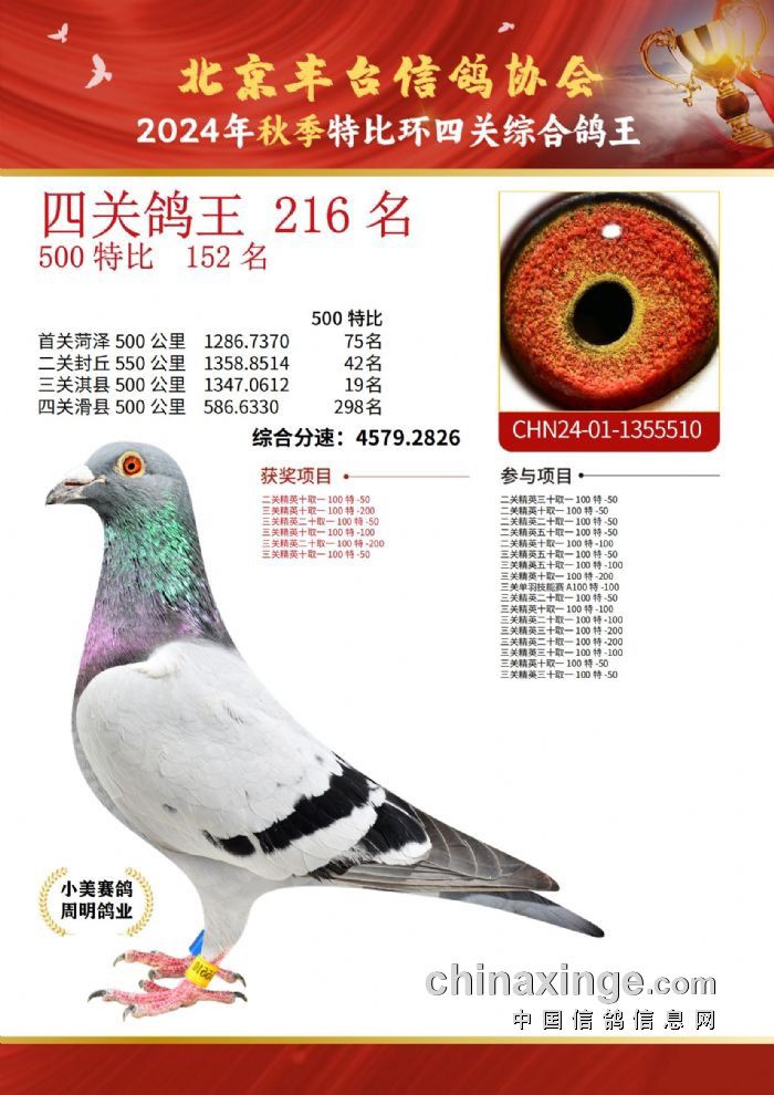 ̨Ĺظ216