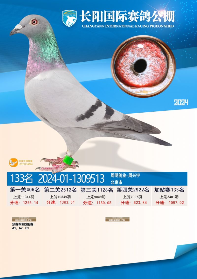 վ133