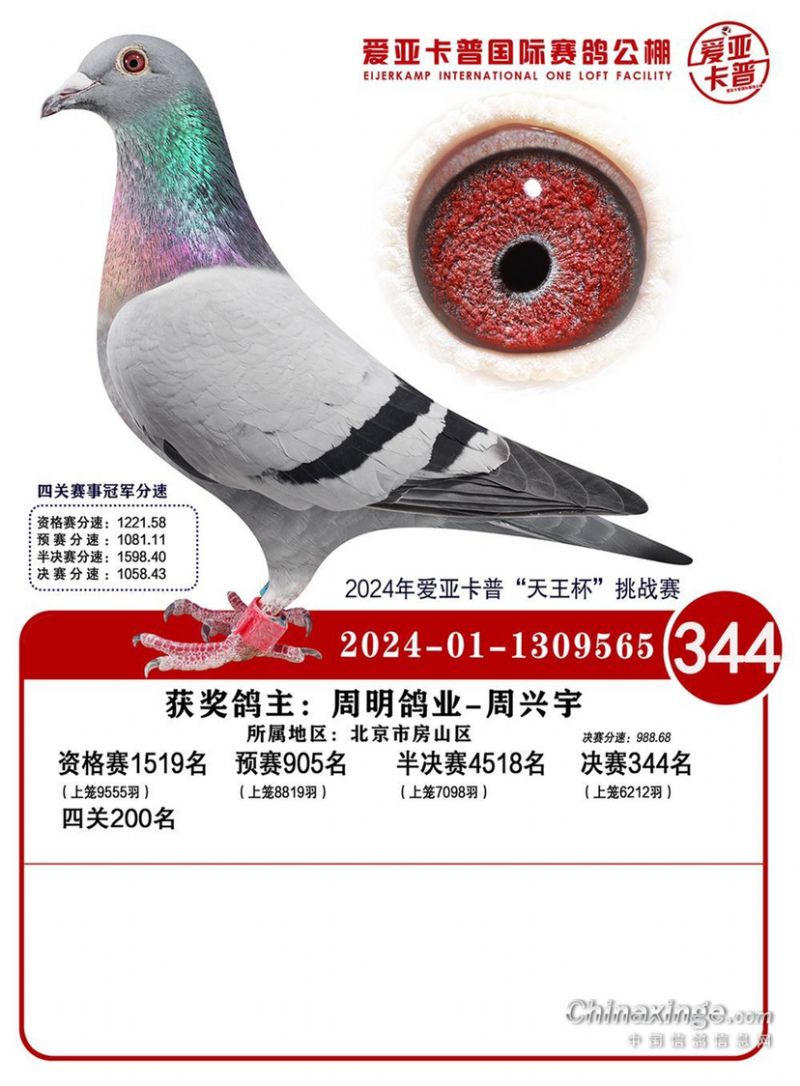 ǿվ344