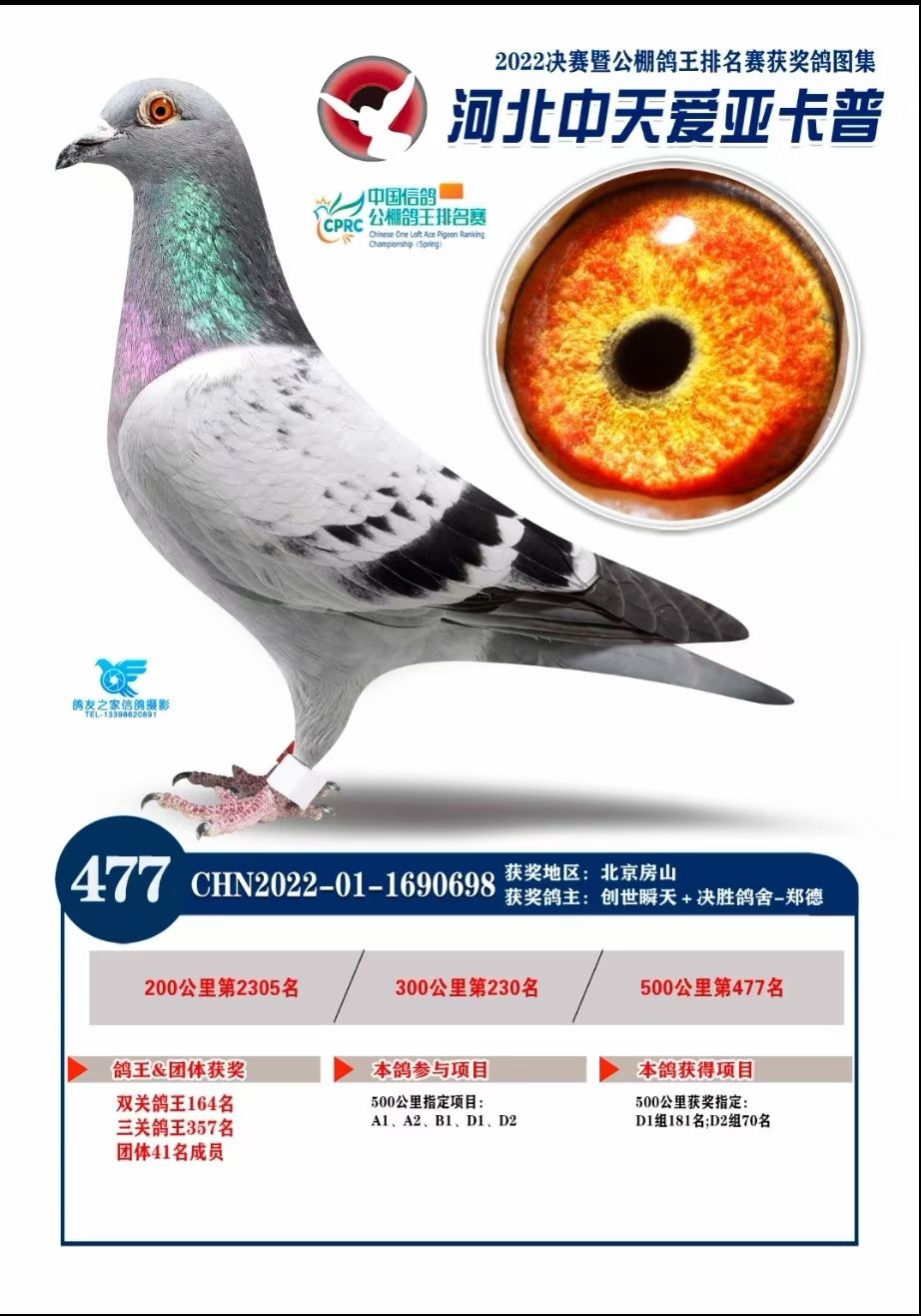 mmexport1732768032389