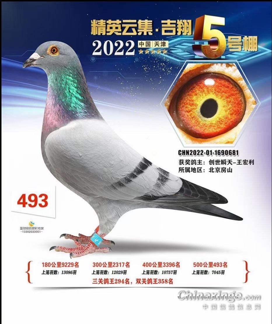 mmexport1732768035521