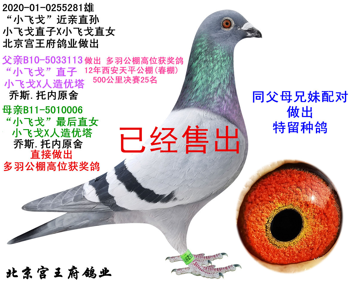 СwꡱHֱO ͬĸ䌦(du)