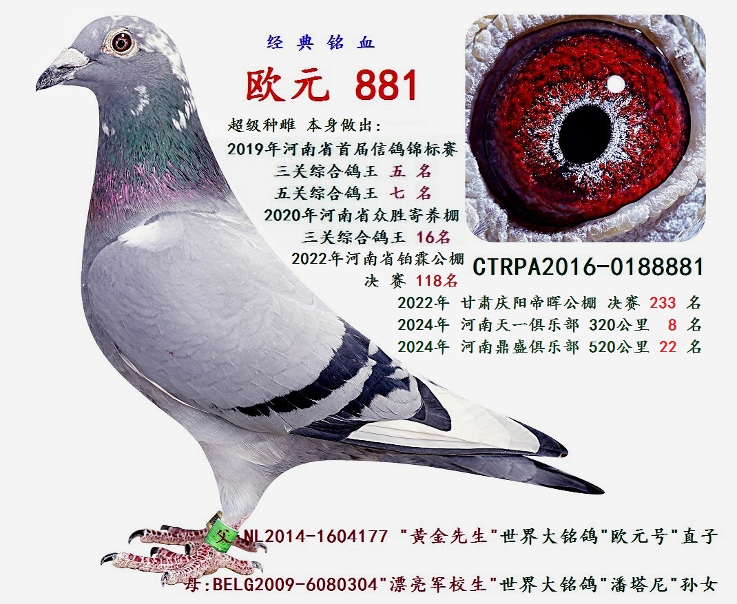 歐元881