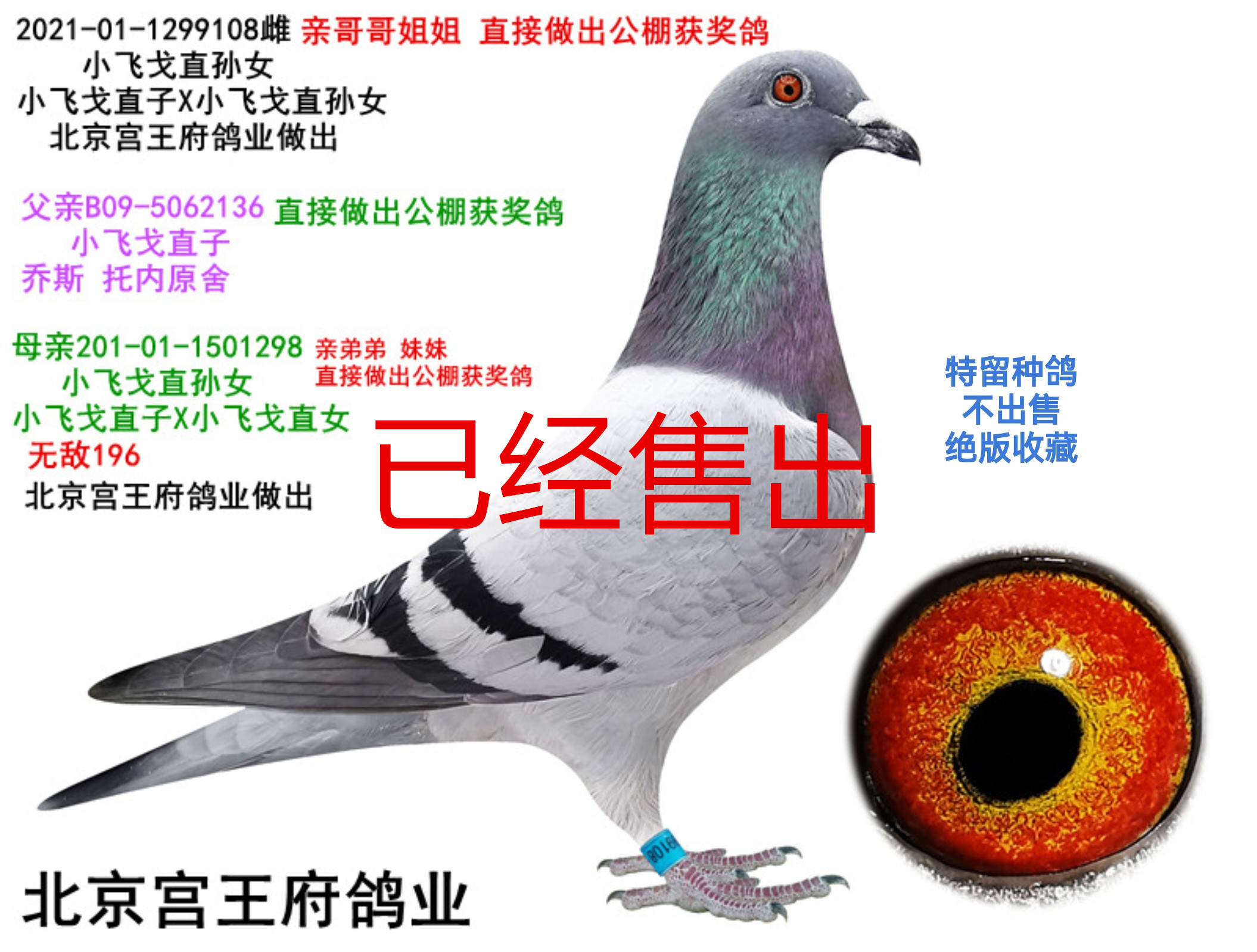 СwֱOŮ  ͬĸֵ䌦
