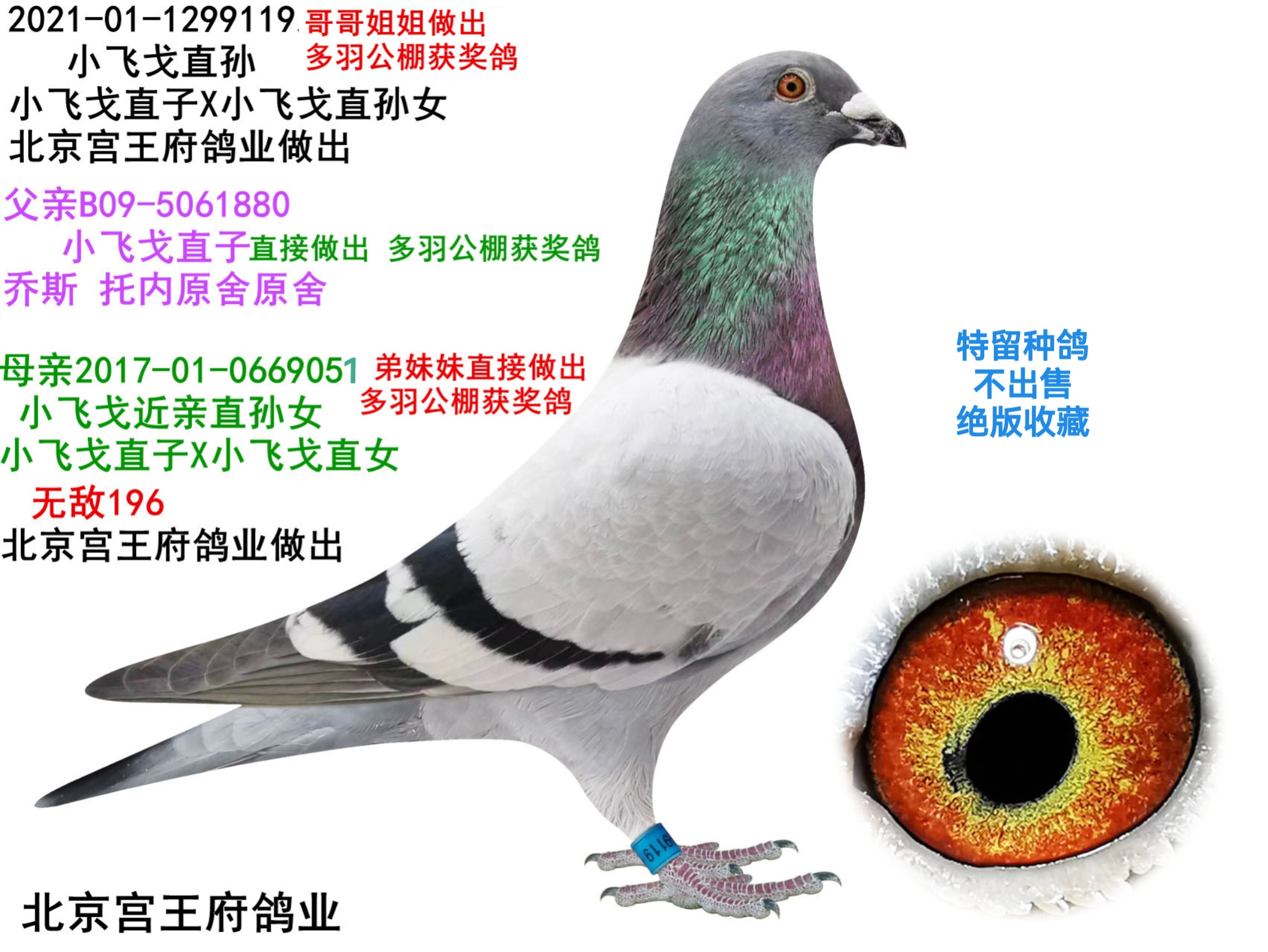 СwH ֱOŮ