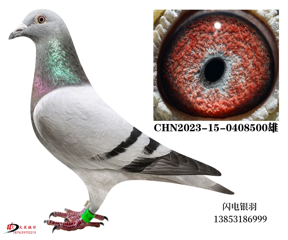 2024괺ɹQِ281