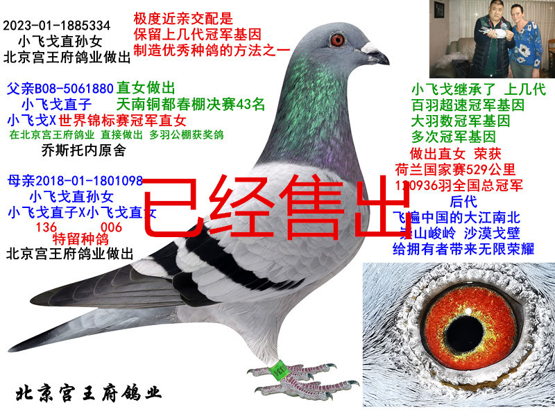 СwֱOŮ