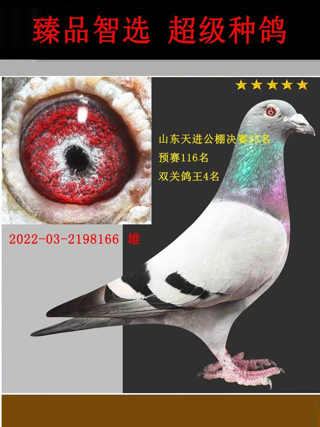 Qِ25