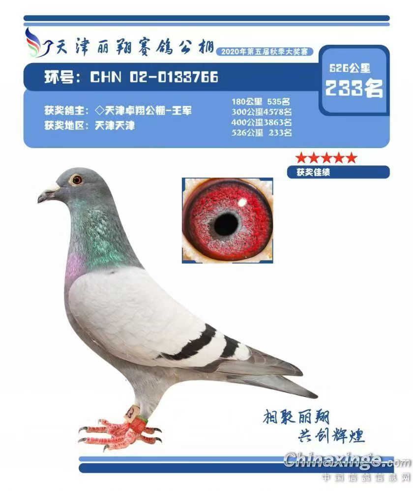 Qِ233