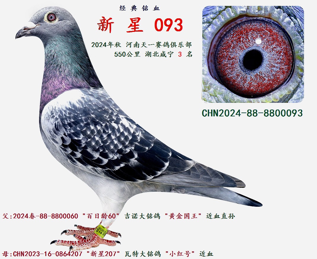 2024 550  ܊
