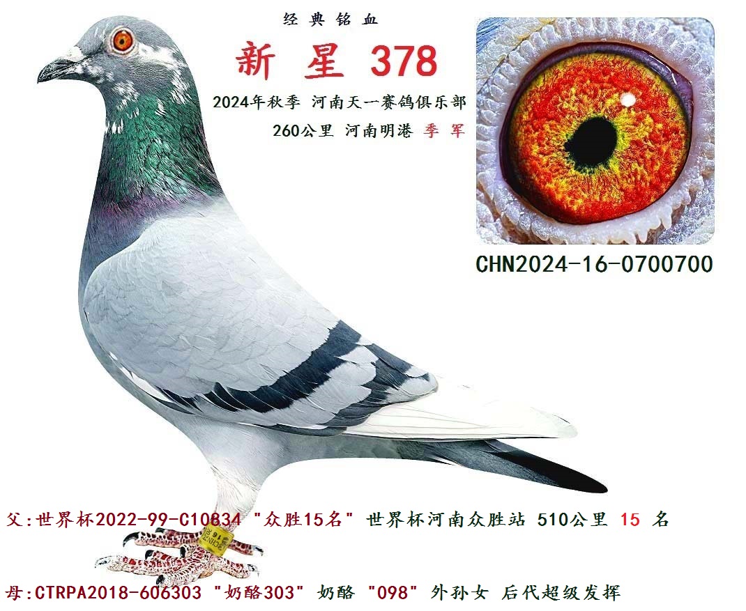 2024＾ 260  ܊
