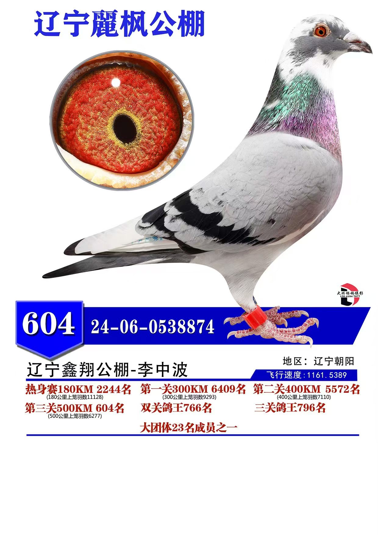 2024604