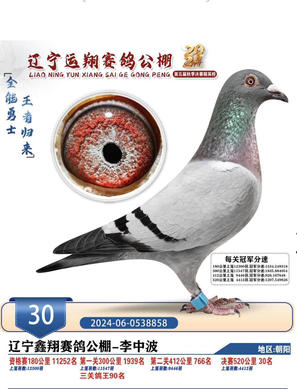2024|\蹫30
