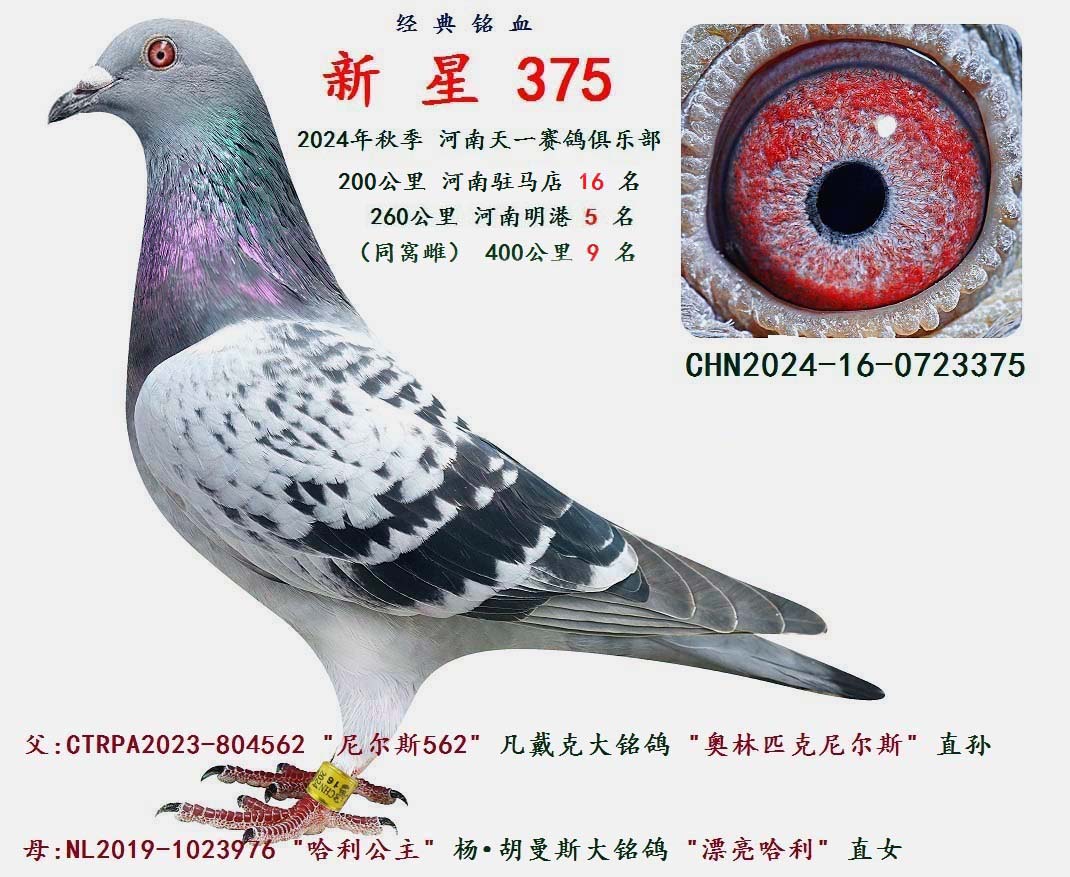 2024 260 5 