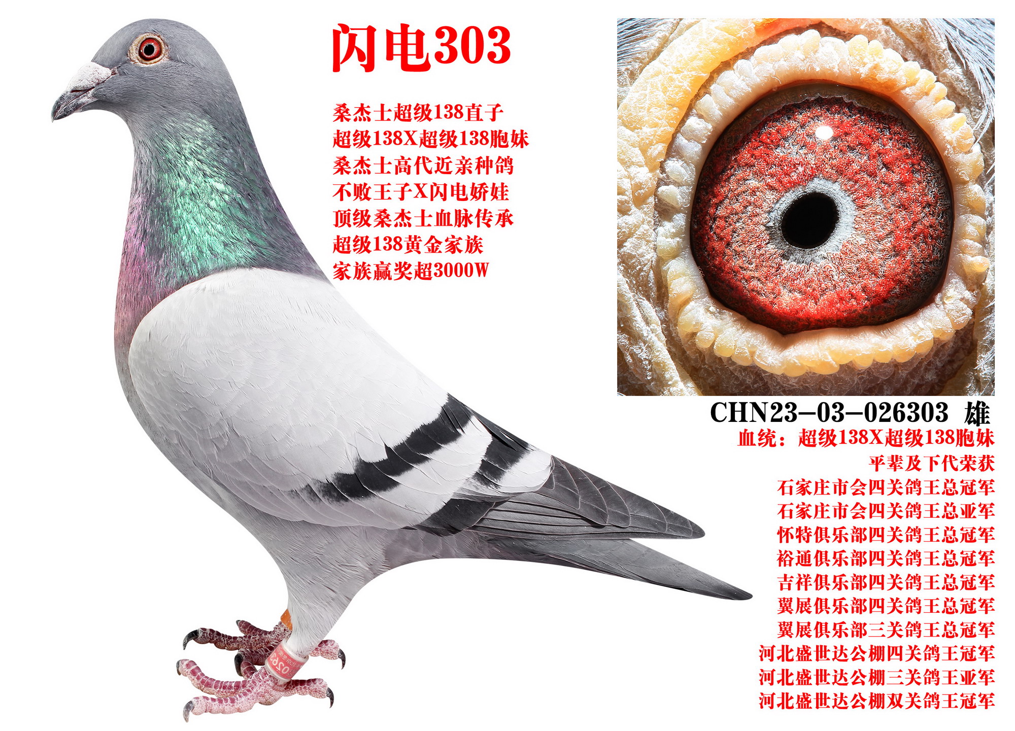 ɣʿ W303
