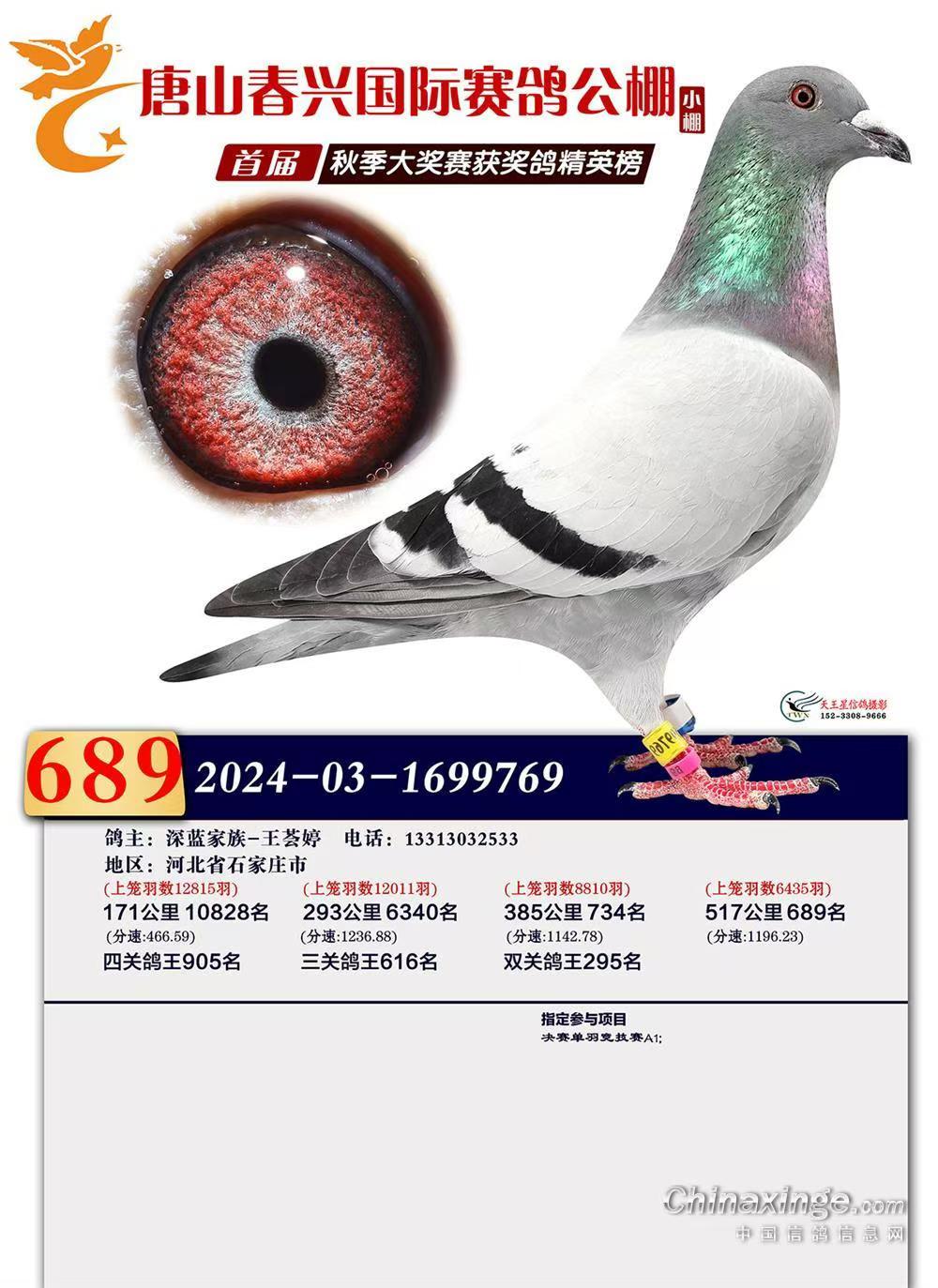 小开山直孙（桑杰士）