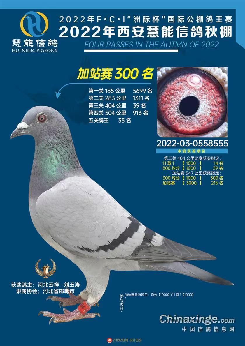 վِ܊ֱŮܼվِ300