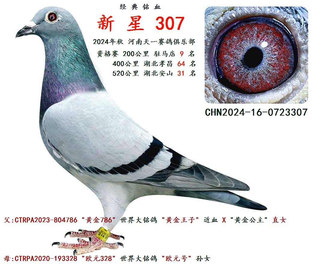 2024 200 9 