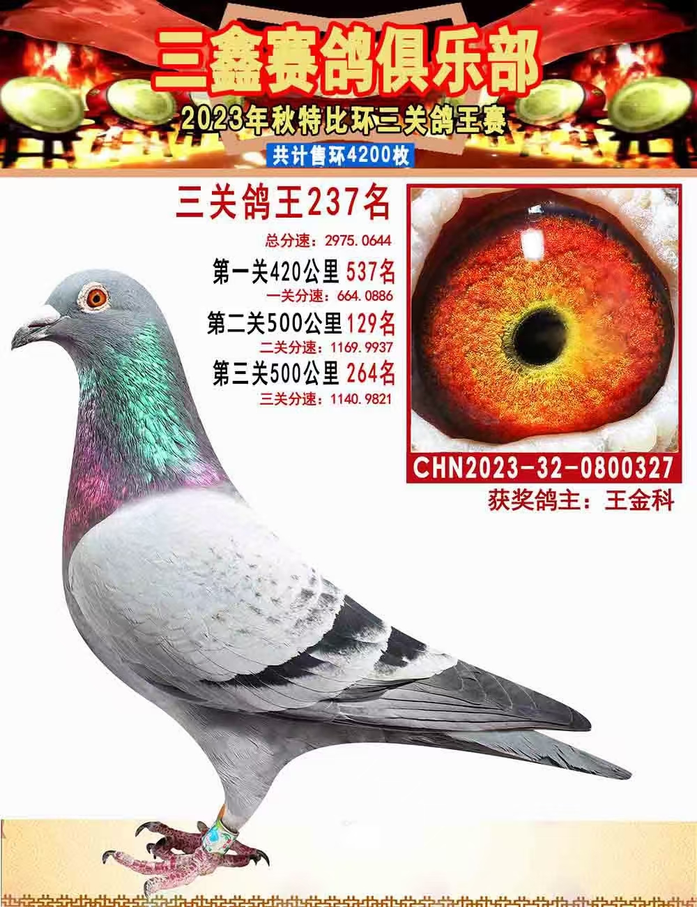 23＾رȭh(hun)@(jing)