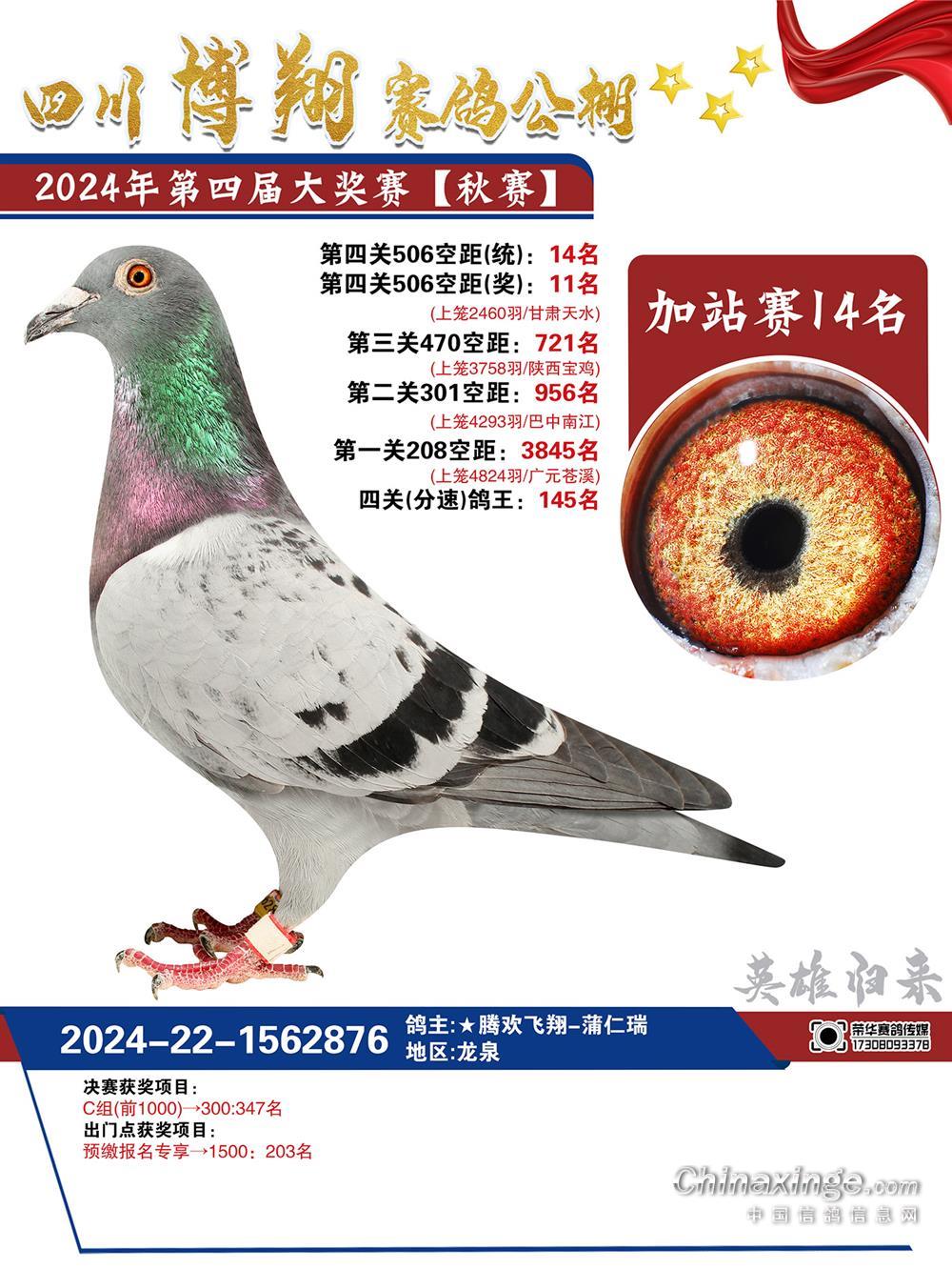 ӏ(qing)ِ 14