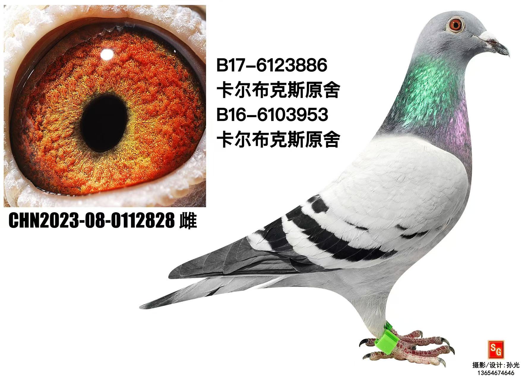 728