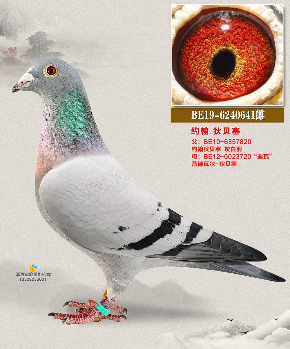 ̝h641