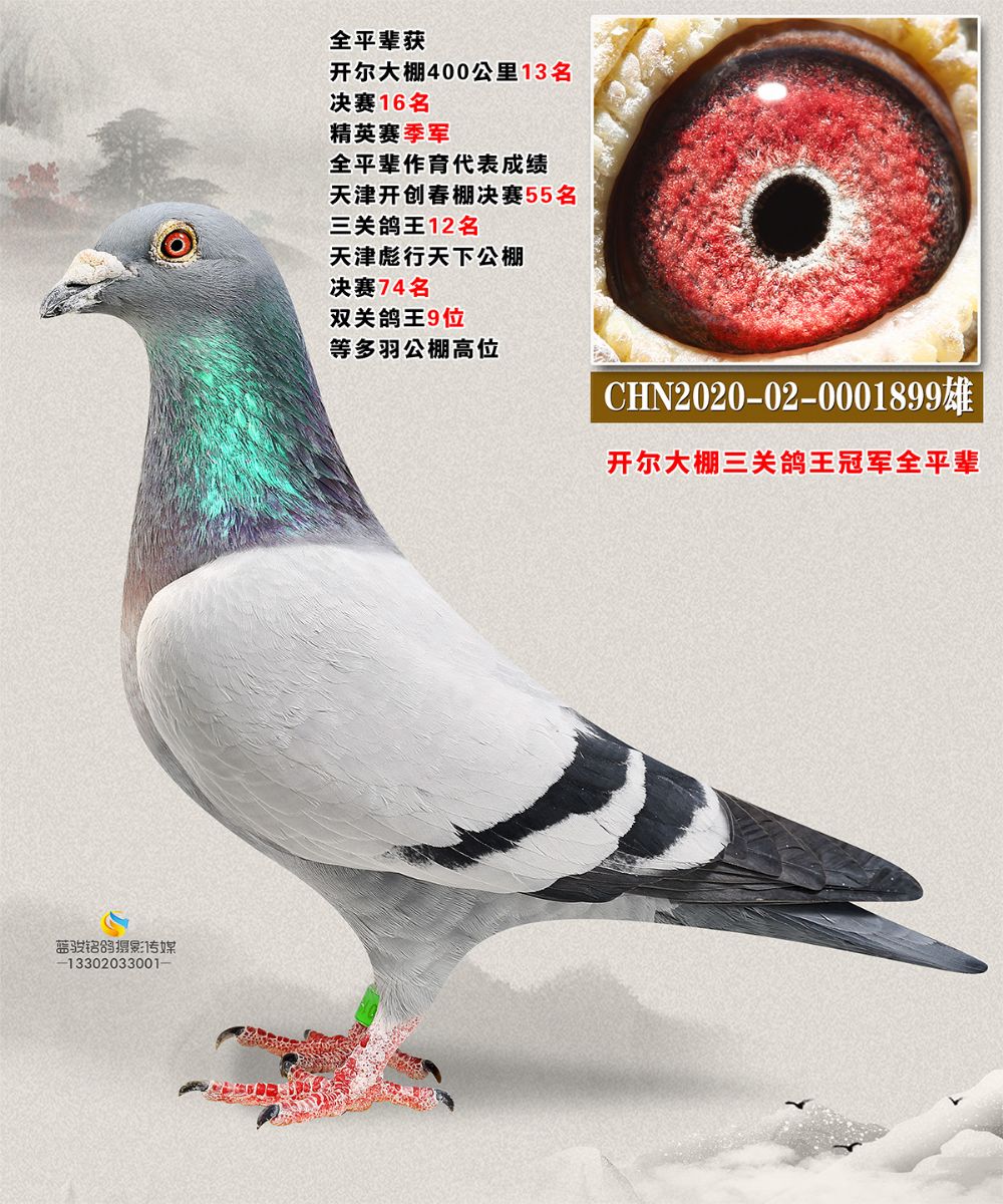 _(ki)ȫƽ݅1899