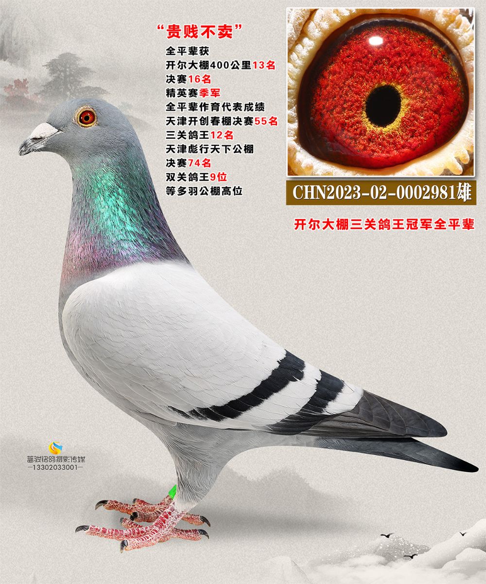 _ȫƽ݅ Fvu̖(ho)