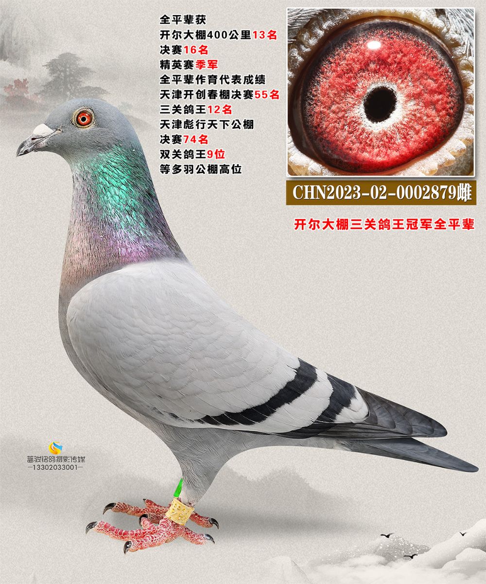 _ȫƽ݅2879