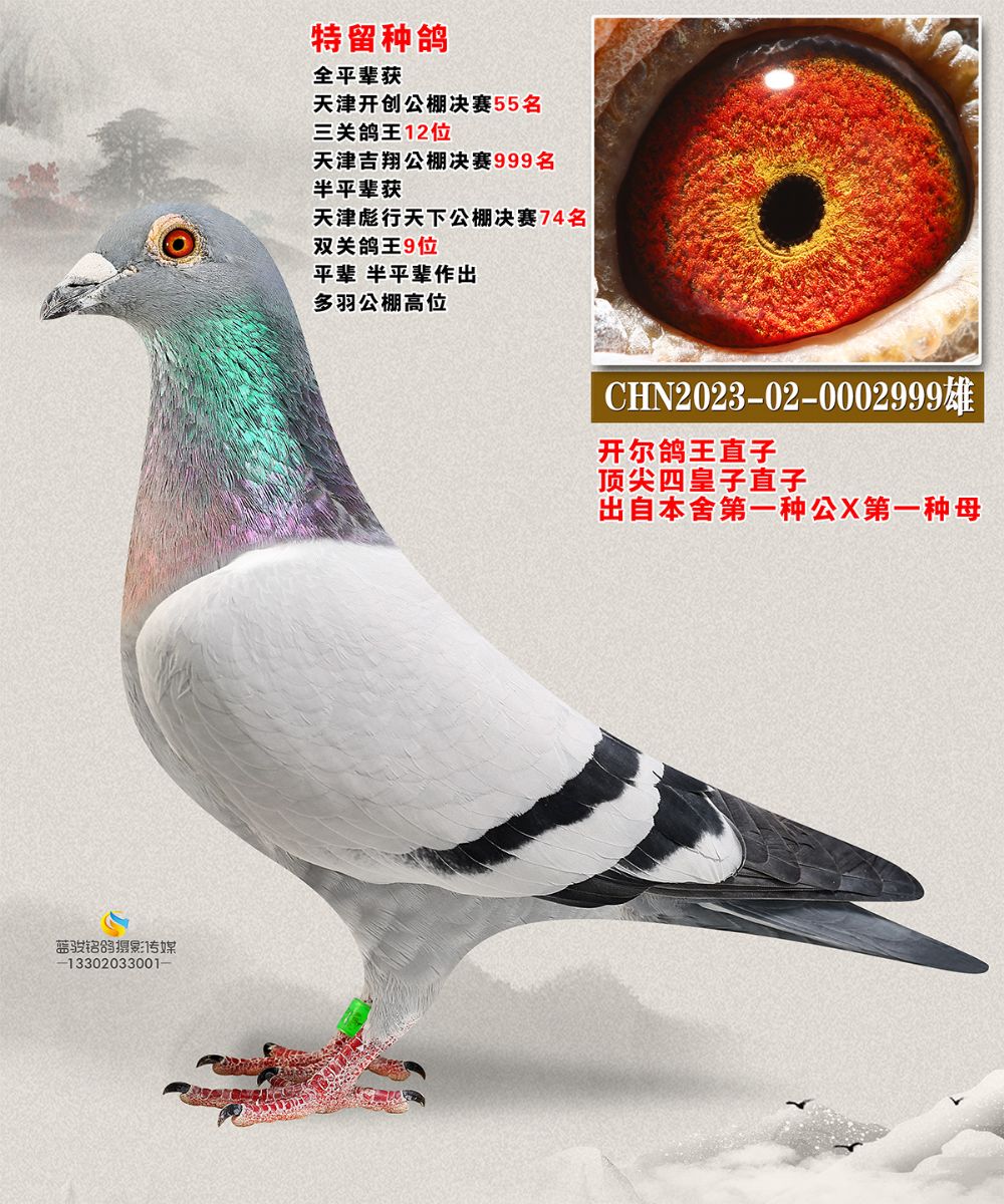 _ֱ _(chung)12ȫƽ݅