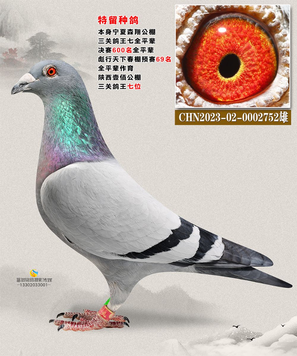ȫƽ݅