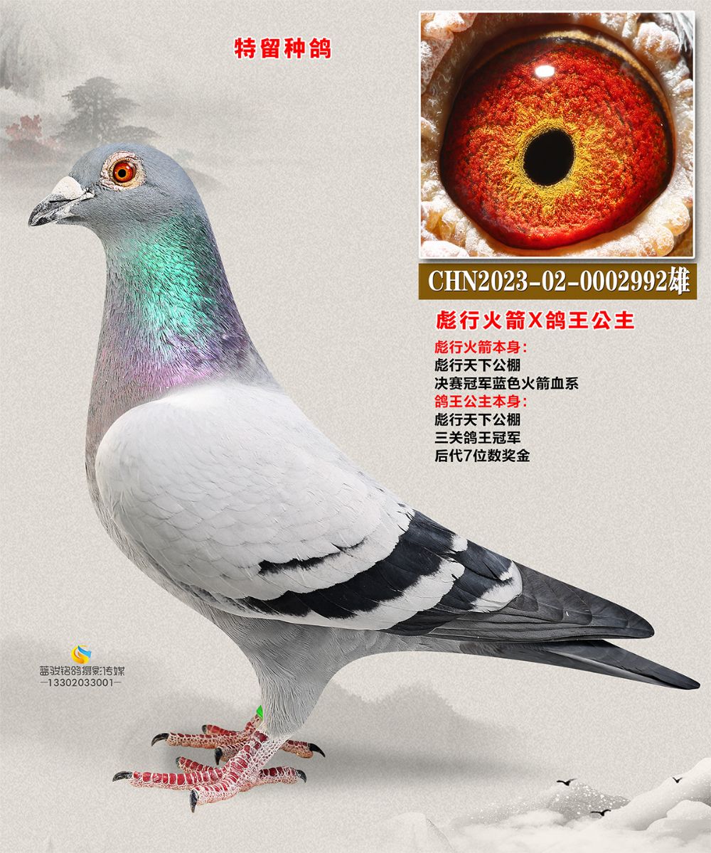 лX ıл