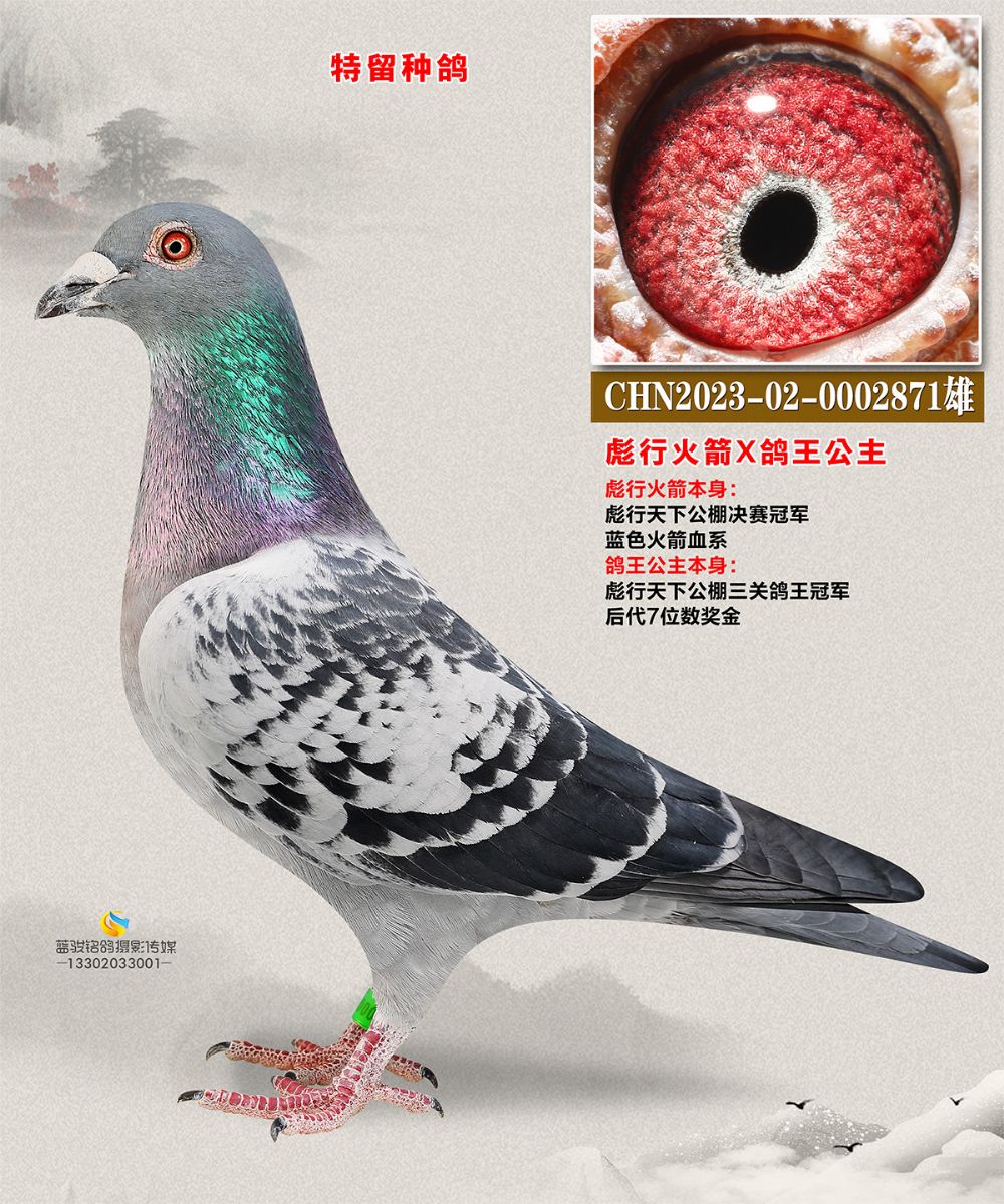лX