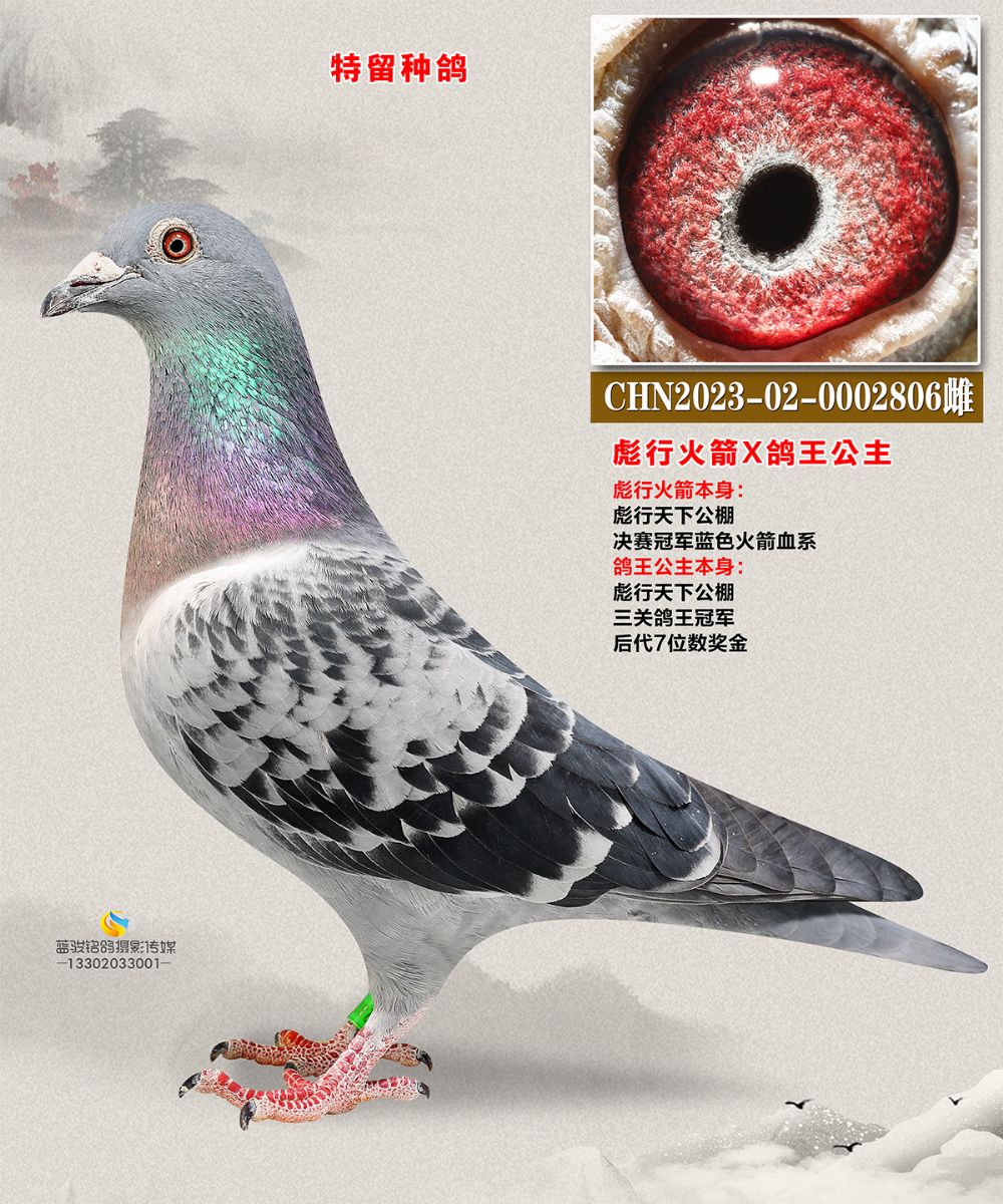 лX