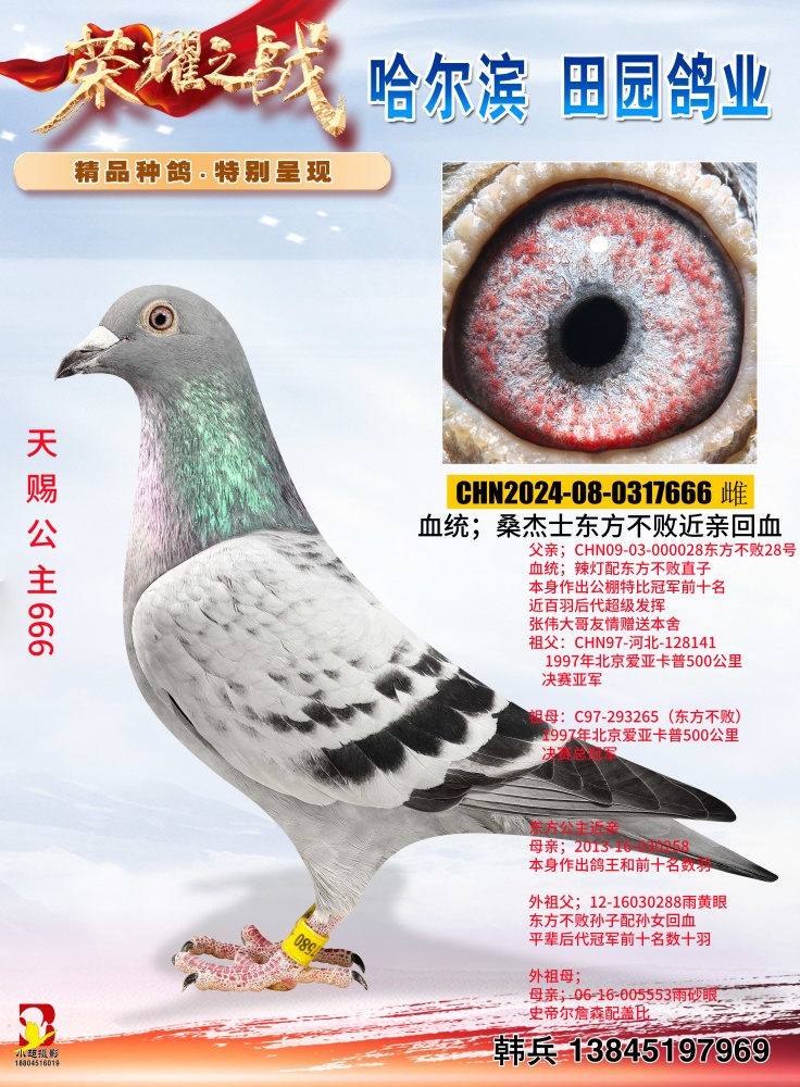 n666uƷH