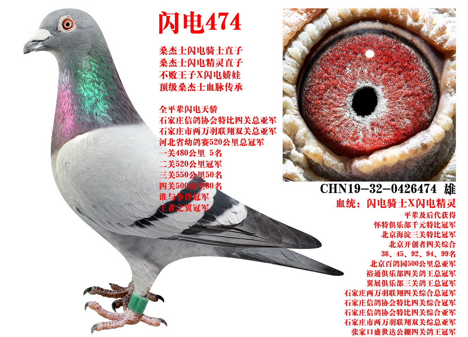ɣʿ W474