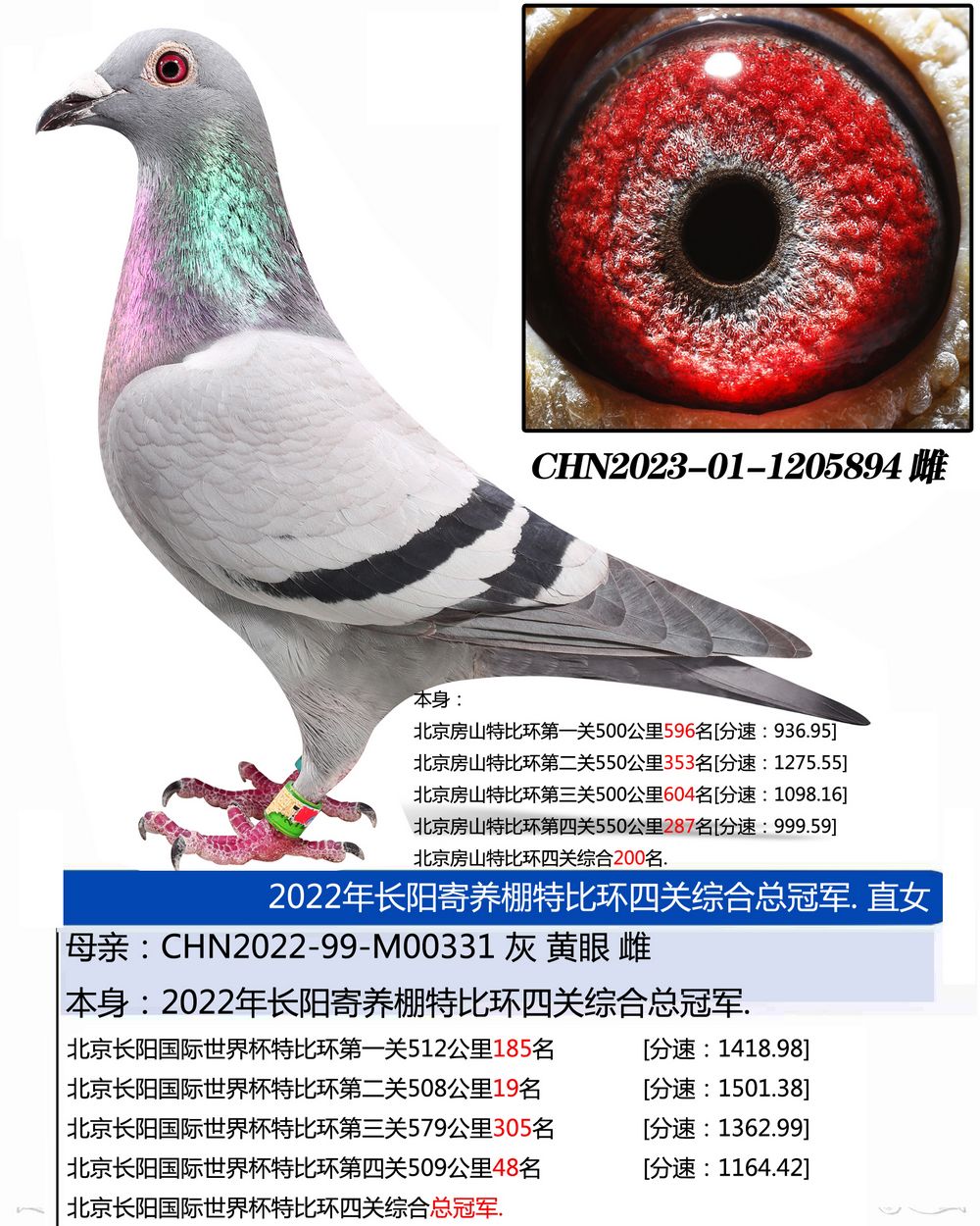 ɽرȭh(hun)PC200.