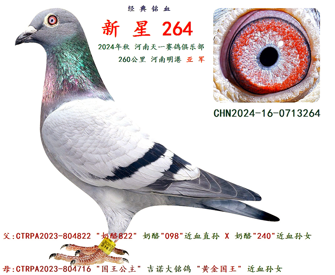 2024 260  ܊