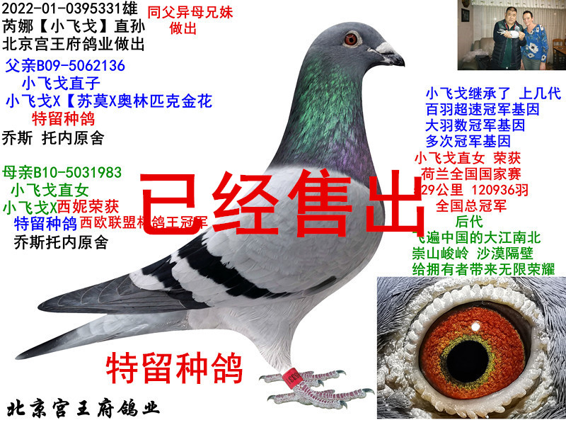 ȡСw꡿ֱO