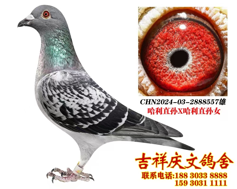Ѫ