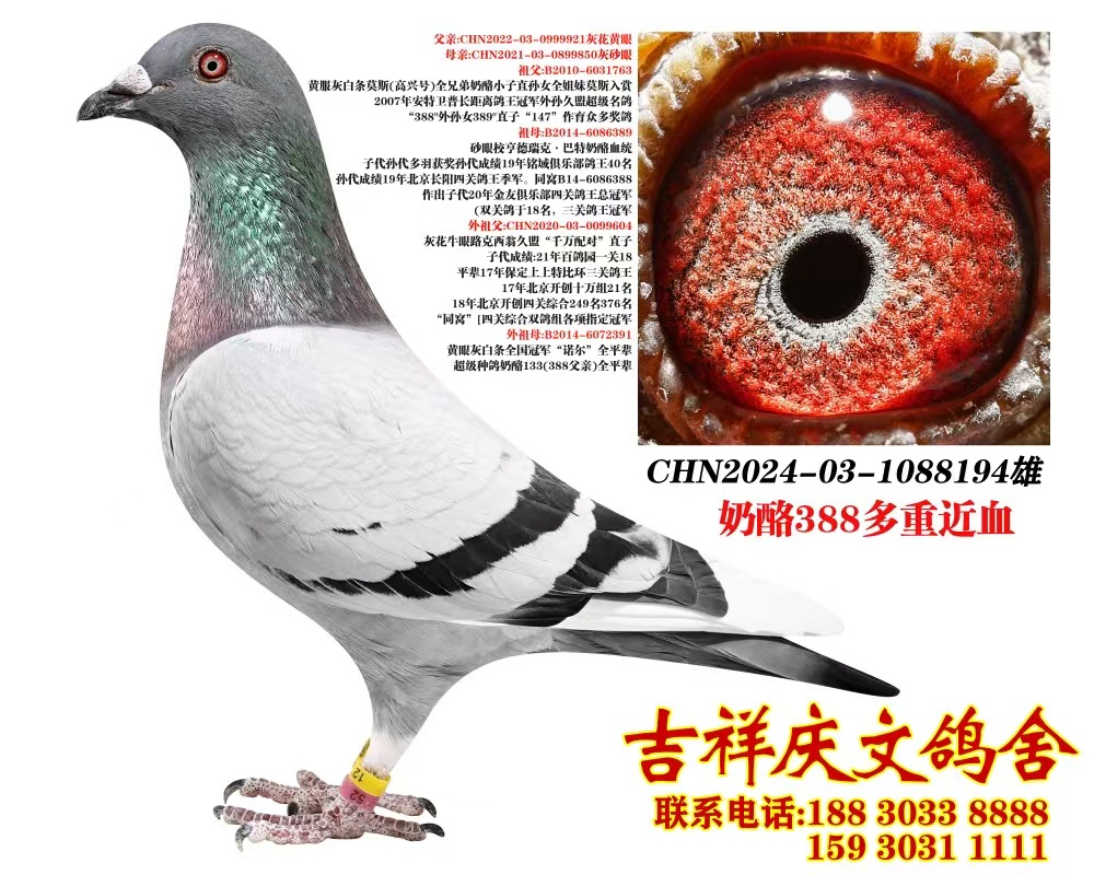 388Ѫ