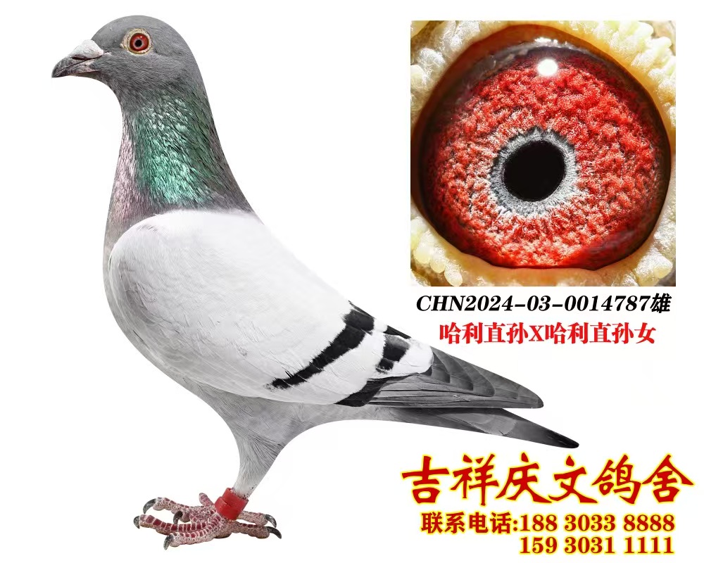 Ѫ