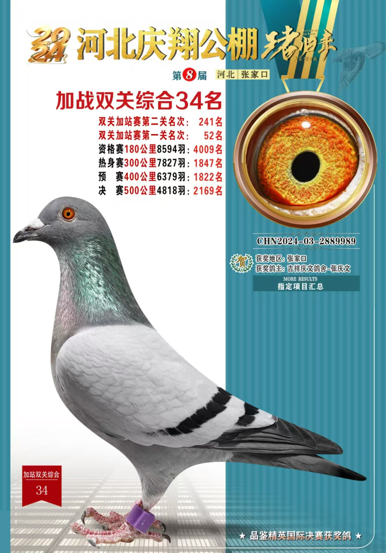 cpP(gun)34