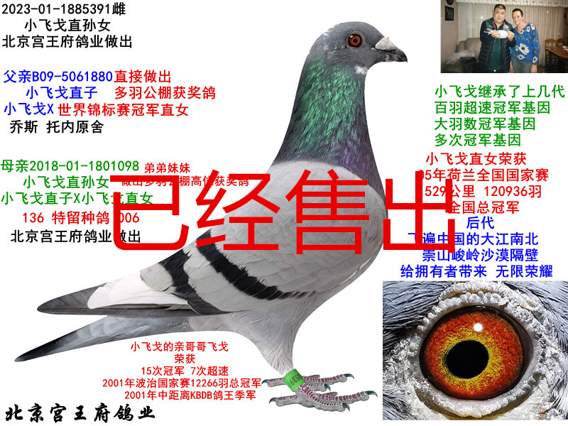 ȡСw꡿HOŮ